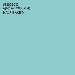 #8ECBCC - Half Baked Color Image